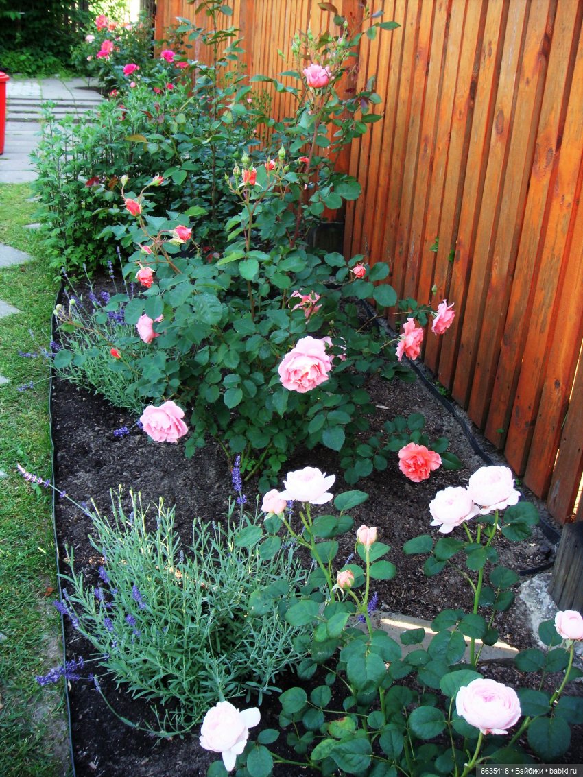 Мои времена года — Болталка и разговоры обо всем: жизнь