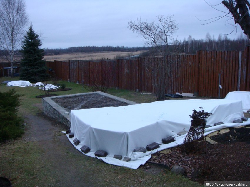 Мои времена года — Болталка и разговоры обо всем: жизнь