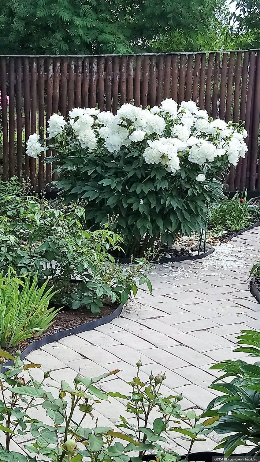 Мои времена года — Болталка и разговоры обо всем: жизнь