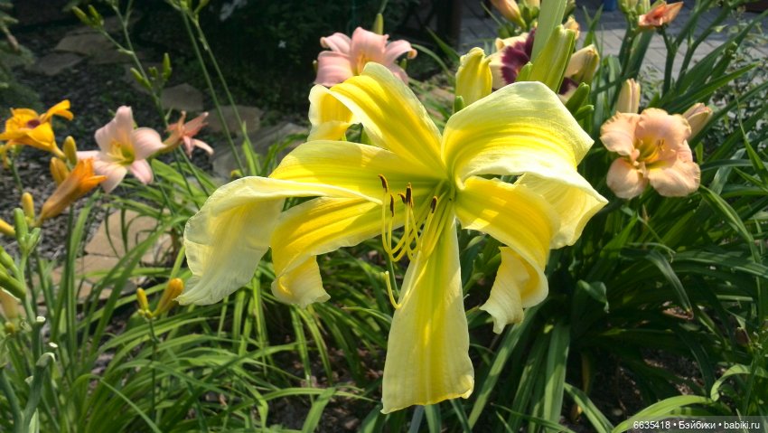 Мои времена года — Болталка и разговоры обо всем: жизнь