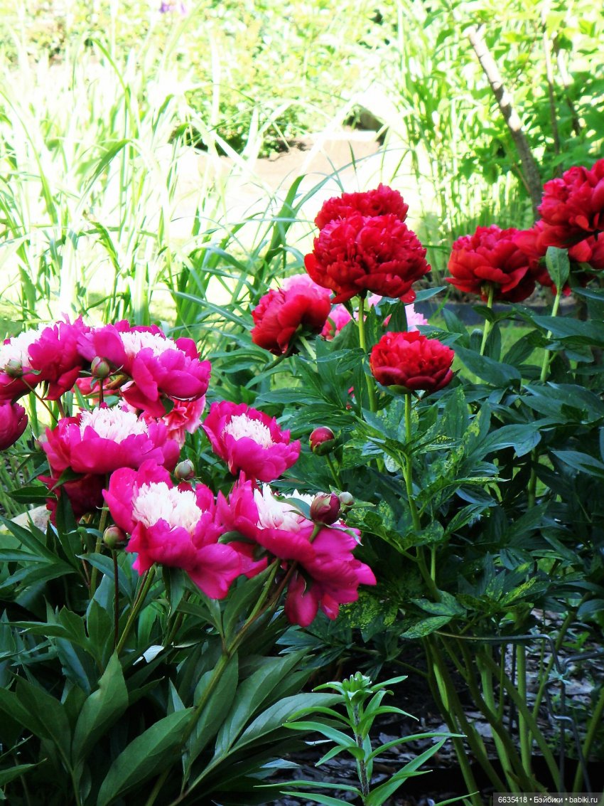 Мои времена года — Болталка и разговоры обо всем: жизнь