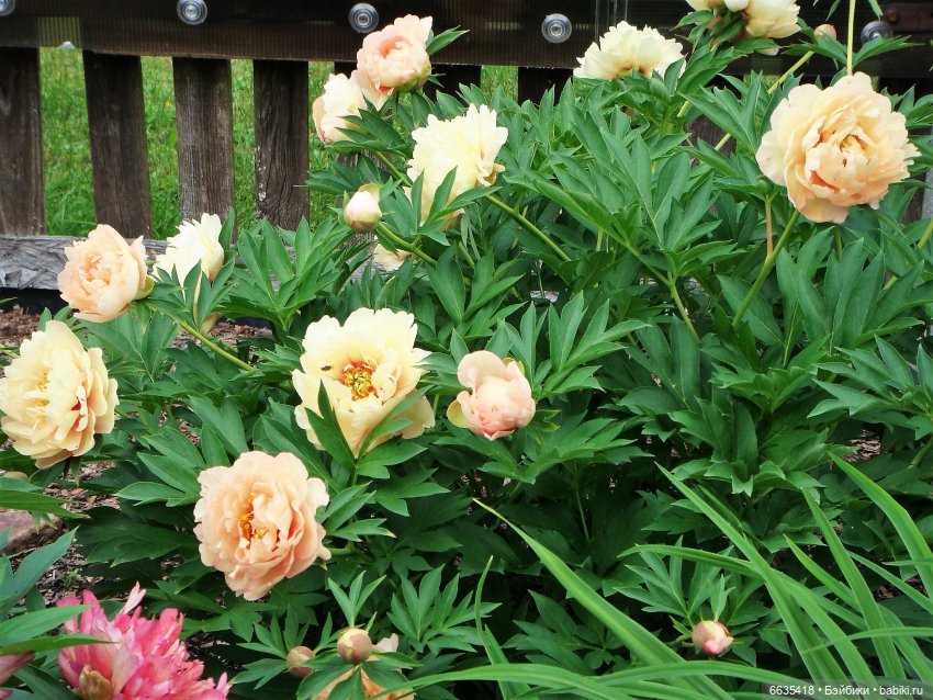 Мои времена года — Болталка и разговоры обо всем: жизнь