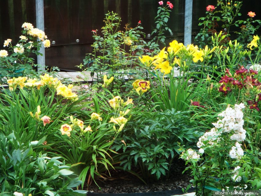 Мои времена года — Болталка и разговоры обо всем: жизнь