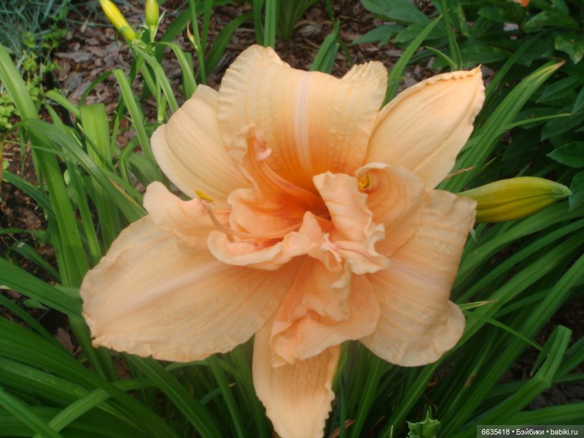 Мои времена года — Болталка и разговоры обо всем: жизнь