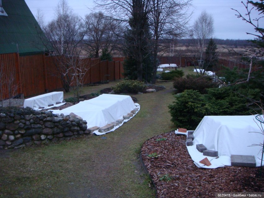 Мои времена года — Болталка и разговоры обо всем: жизнь