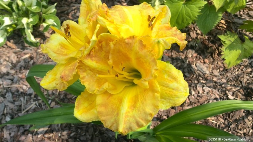 Мои времена года — Болталка и разговоры обо всем: жизнь