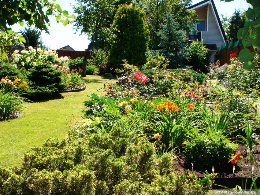 Мои времена года — Болталка и разговоры обо всем: жизнь