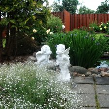 Мои времена года