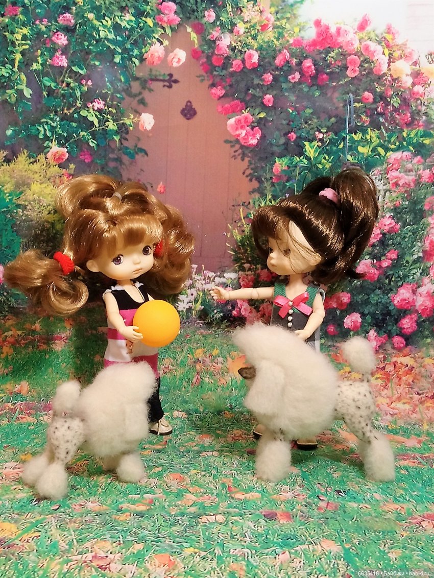 Пока собаки есть на свете будут счастливы все дети