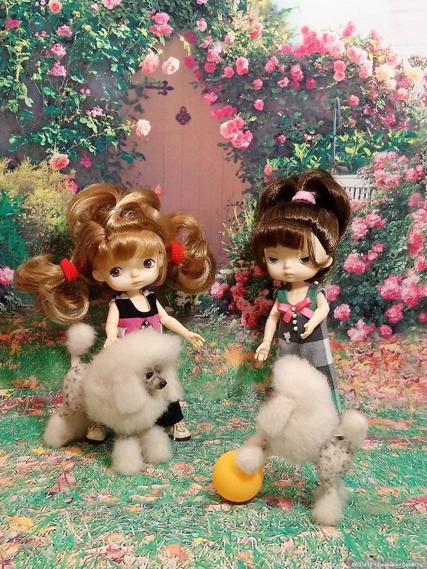 Пока собаки есть на свете будут счастливы все дети