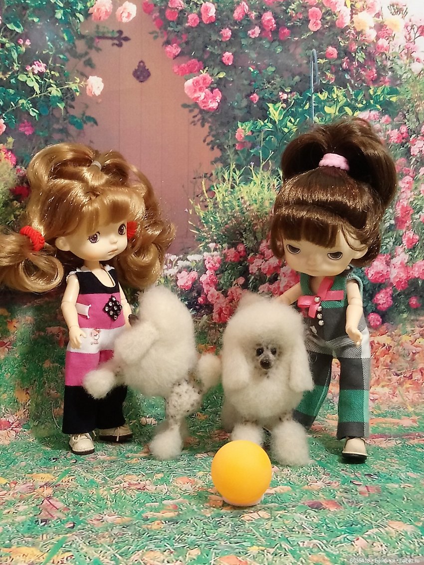 Пока собаки есть на свете будут счастливы все дети