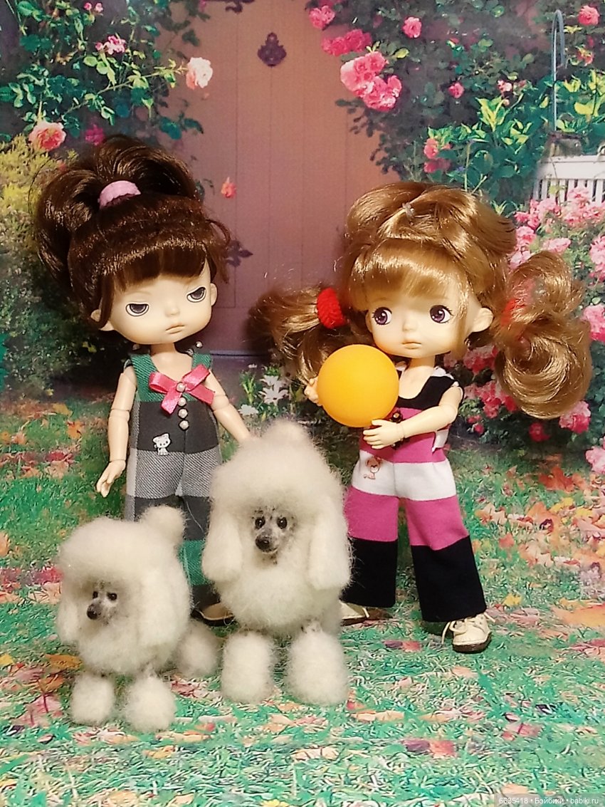 Пока собаки есть на свете будут счастливы все дети