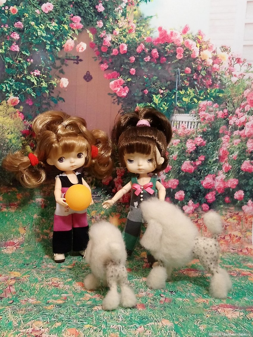 Пока собаки есть на свете будут счастливы все дети