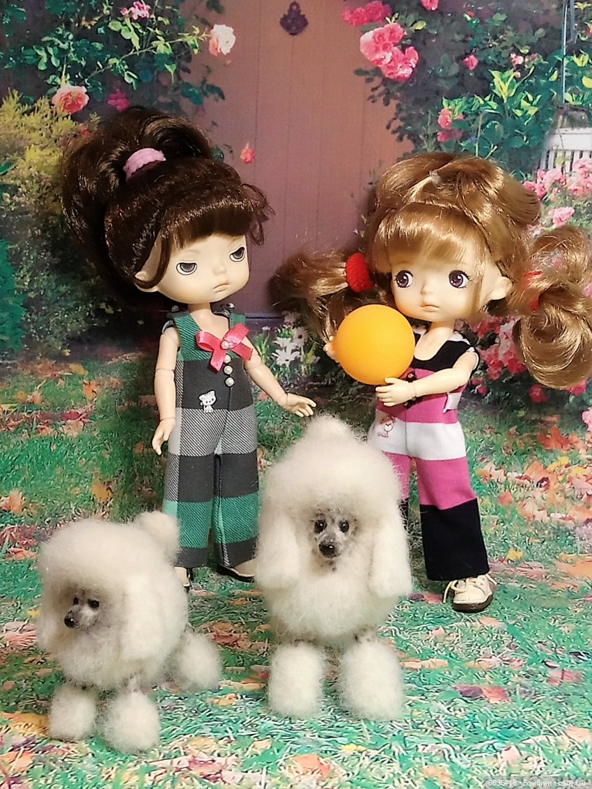 Пока собаки есть на свете будут счастливы все дети