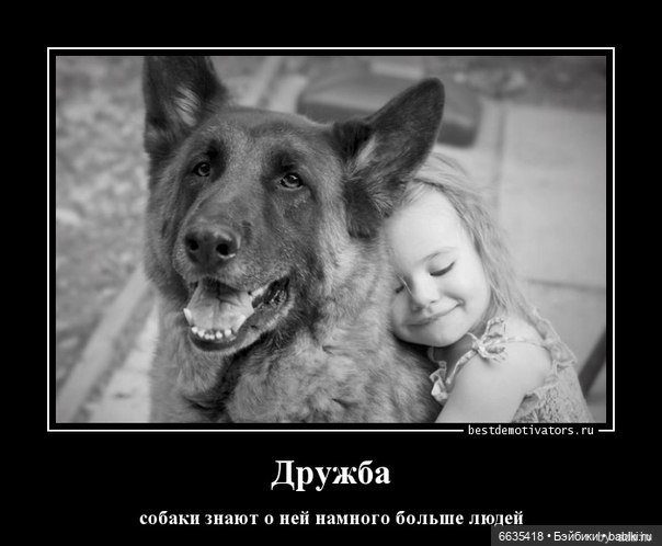 Пока собаки есть на свете будут счастливы все дети (фото 4)