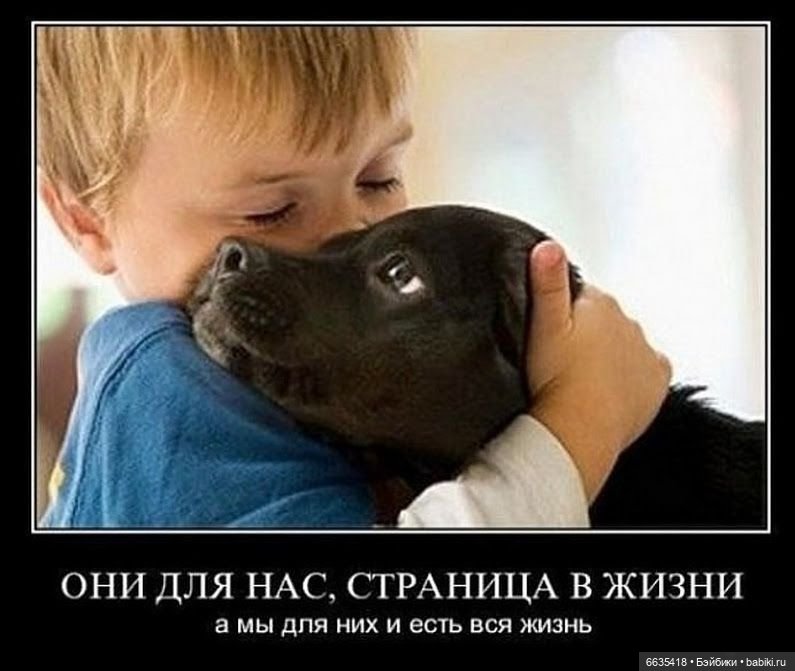 Пока собаки есть на свете будут счастливы все дети (фото 2)