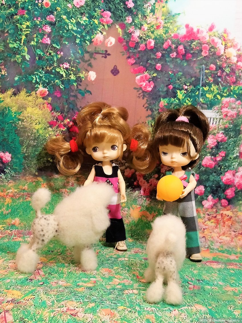 Пока собаки есть на свете будут счастливы все дети (фото 8)