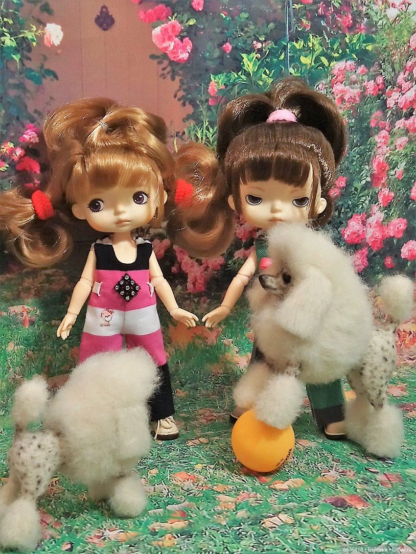 Пока собаки есть на свете будут счастливы все дети