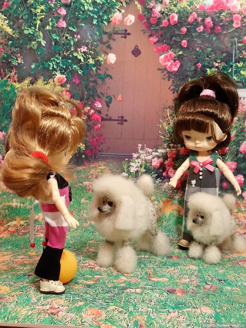 Пока собаки есть на свете будут счастливы все дети