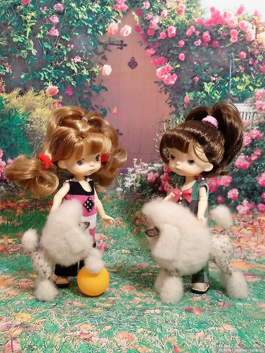 Пока собаки есть на свете будут счастливы все дети