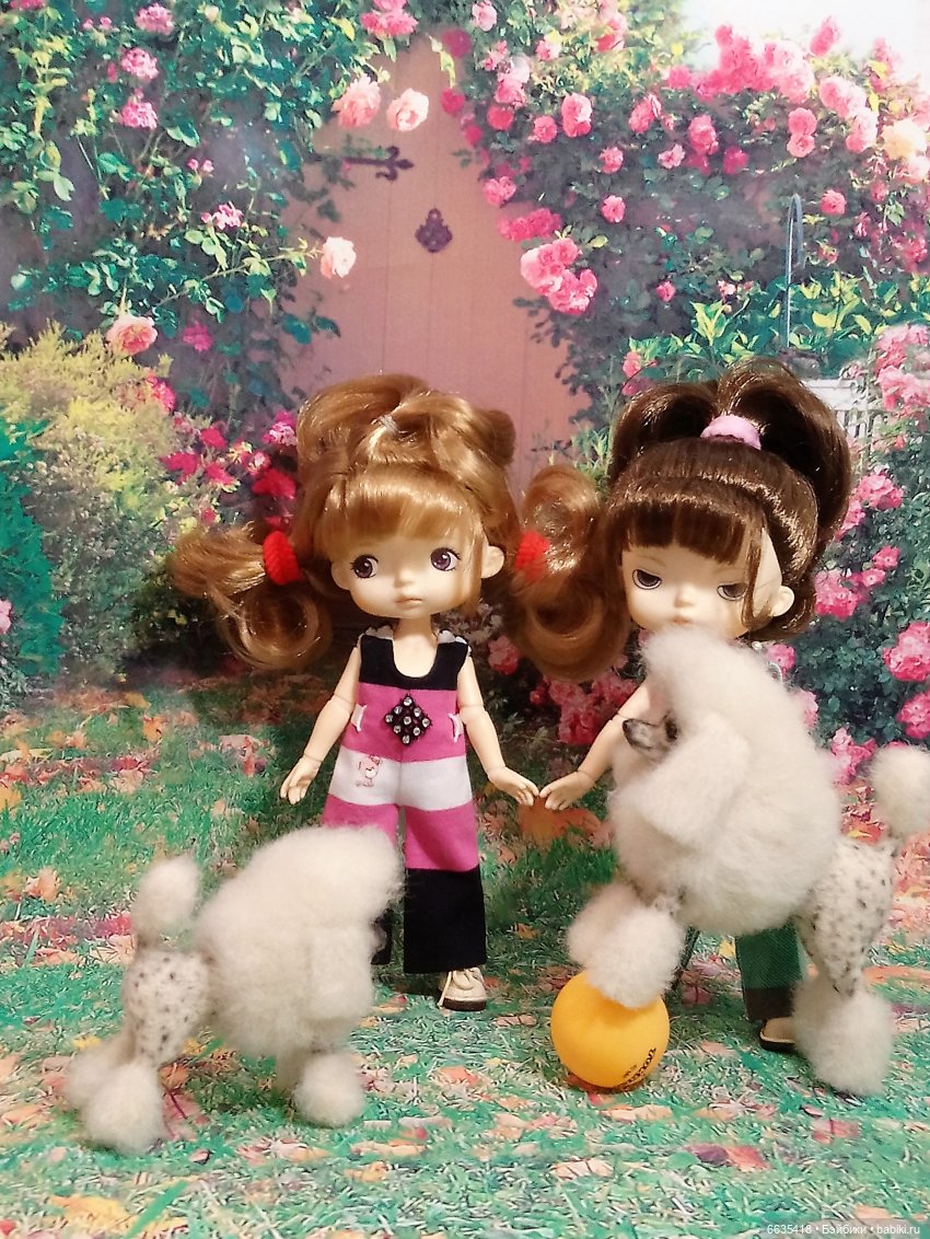 Пока собаки есть на свете будут счастливы все дети