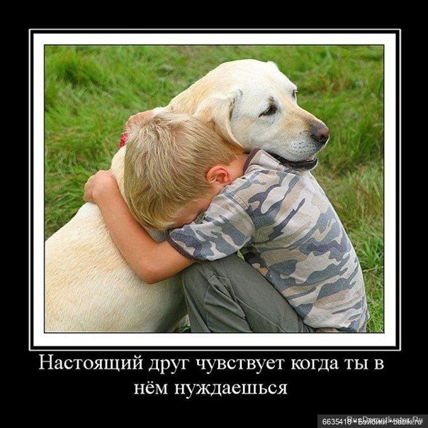 Пока собаки есть на свете будут счастливы все дети (фото 5)