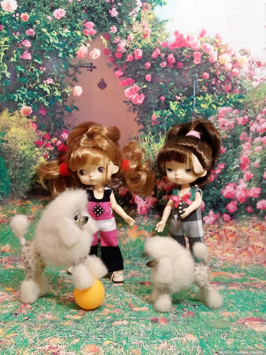 Пока собаки есть на свете будут счастливы все дети