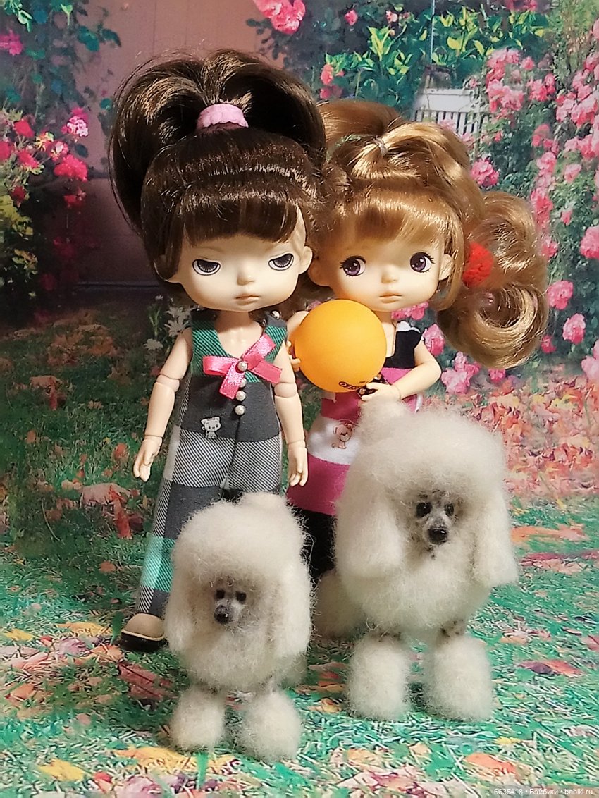 Пока собаки есть на свете будут счастливы все дети