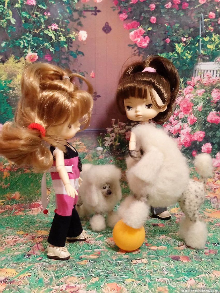 Пока собаки есть на свете будут счастливы все дети