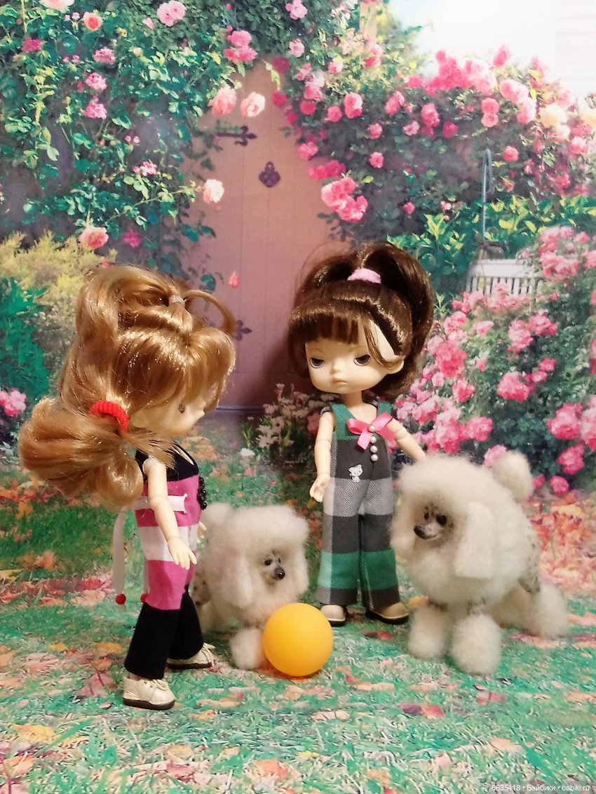 Пока собаки есть на свете будут счастливы все дети