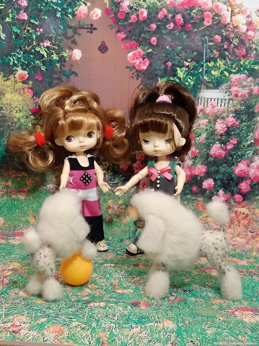 Пока собаки есть на свете будут счастливы все дети (фото 9)