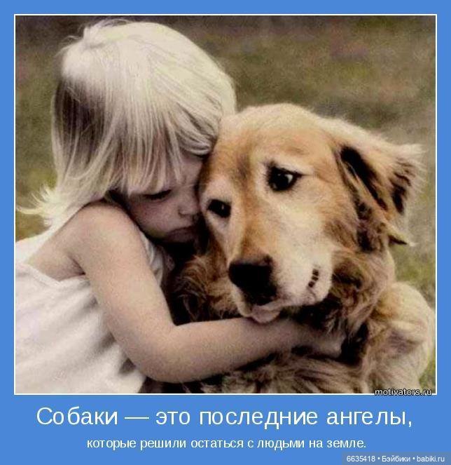 Пока собаки есть на свете будут счастливы все дети