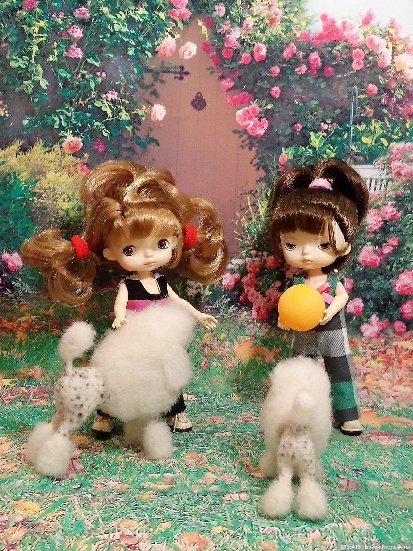 Пока собаки есть на свете будут счастливы все дети (фото 10)