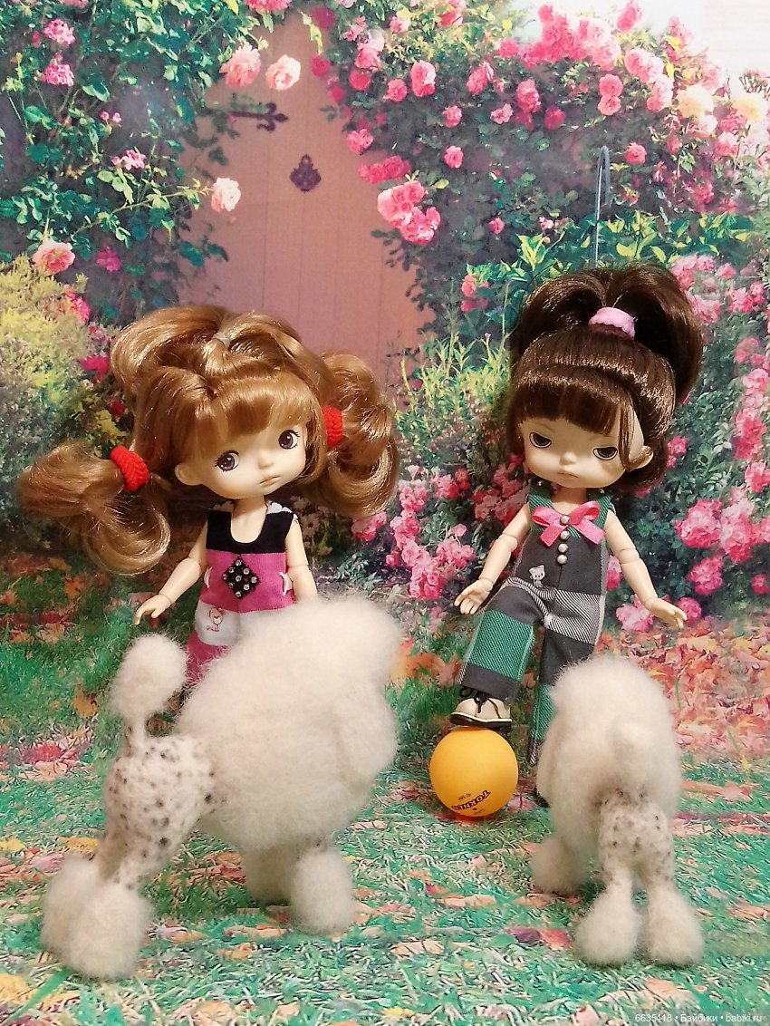 Пока собаки есть на свете будут счастливы все дети