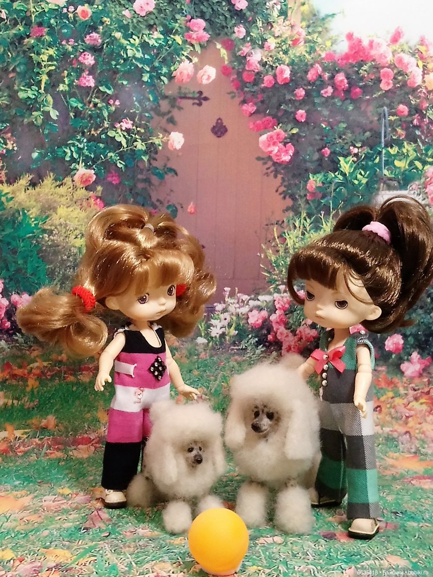 Пока собаки есть на свете будут счастливы все дети