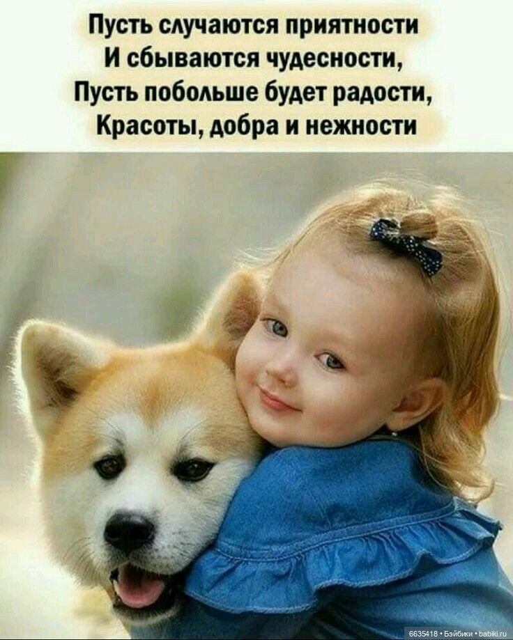 Цитаты под фото с собакой