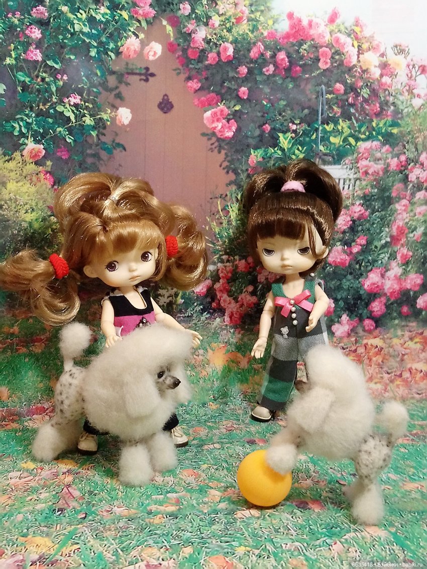 Пока собаки есть на свете будут счастливы все дети