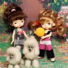 Пока собаки есть на свете будут счастливы все дети