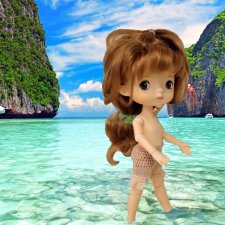 Хотим на море