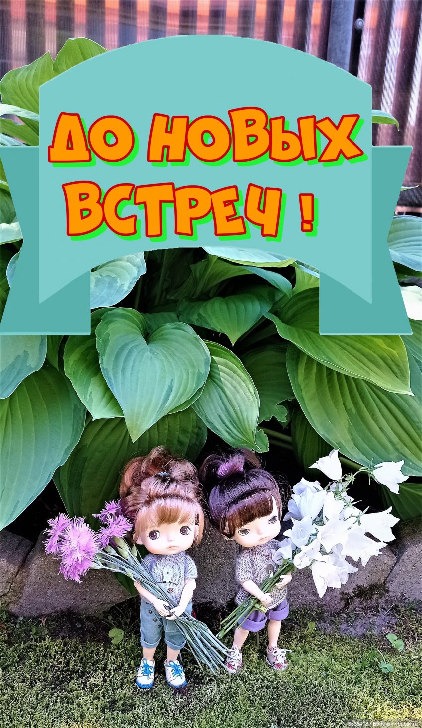 Летний сад глазами Майи и Жульки | Бэйбики Летний сад глазами Майи и Жульки