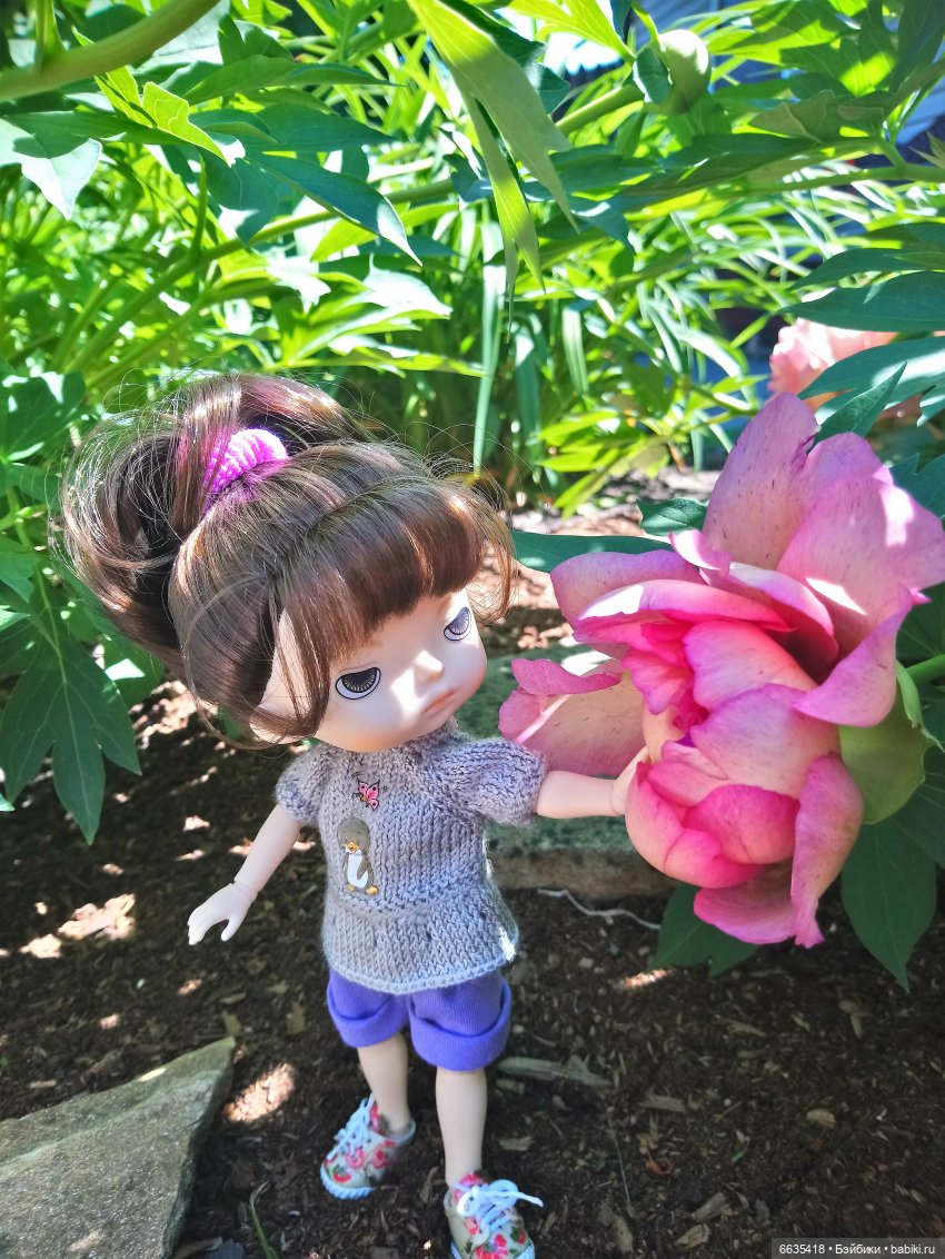 Летний сад глазами Майи и Жульки | Бэйбики Летний сад глазами Майи и Жульки (фото 3)