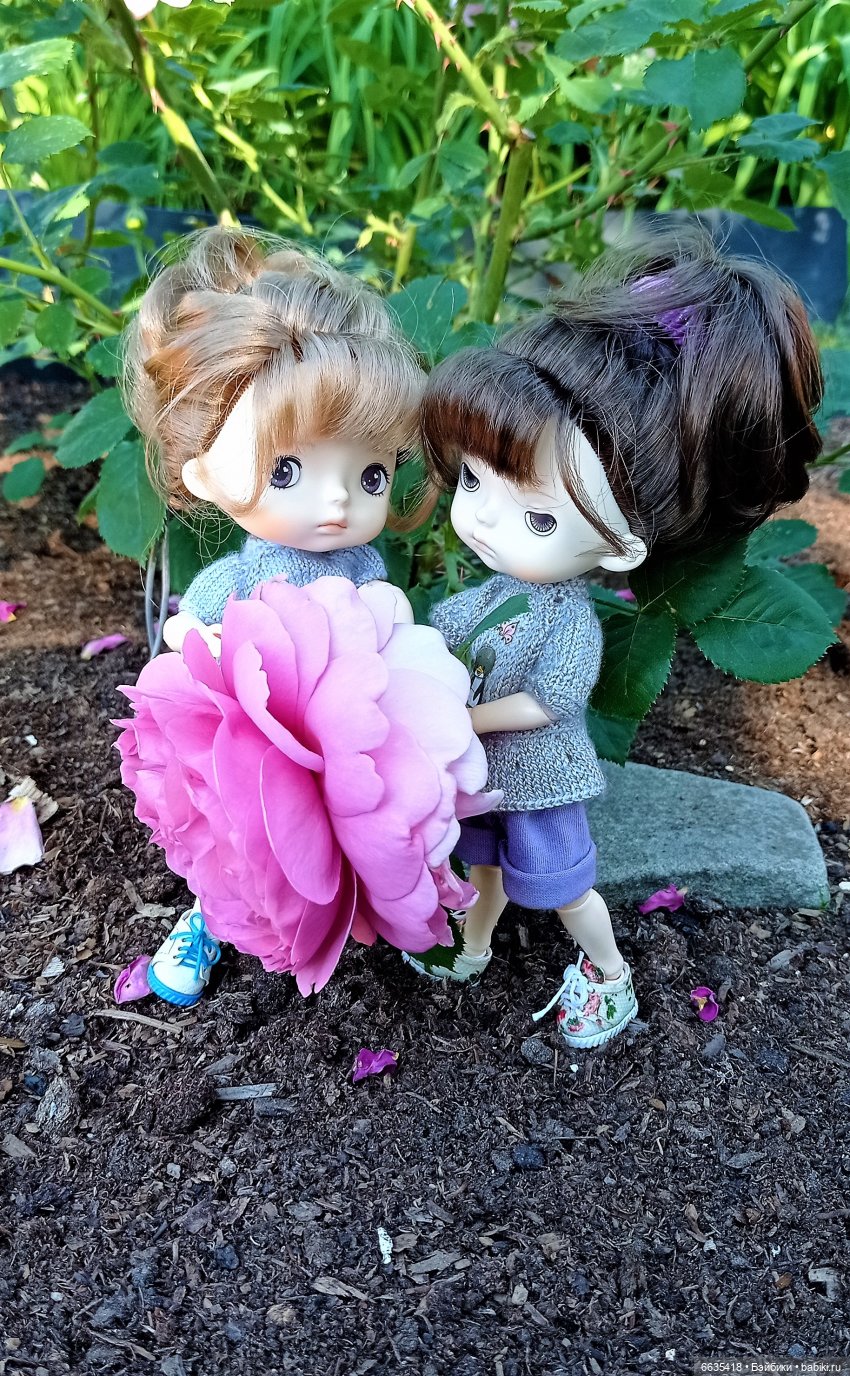 Летний сад глазами Майи и Жульки | Бэйбики Летний сад глазами Майи и Жульки