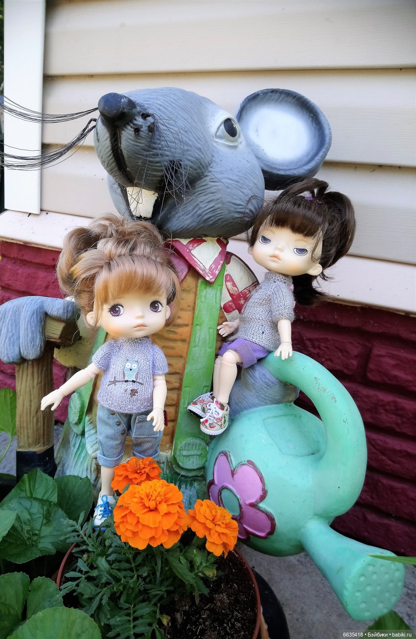 Летний сад глазами Майи и Жульки | Бэйбики Летний сад глазами Майи и Жульки