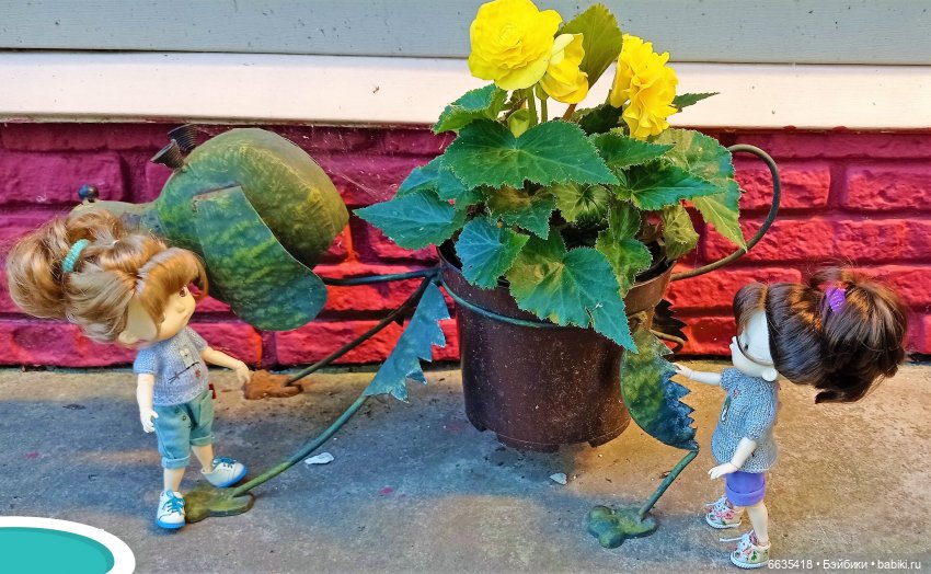 Летний сад глазами Майи и Жульки | Бэйбики Летний сад глазами Майи и Жульки