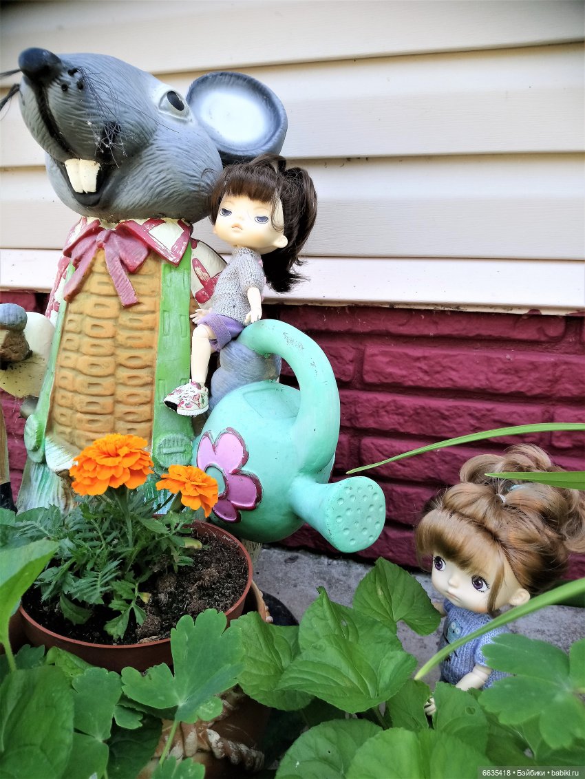 Летний сад глазами Майи и Жульки | Бэйбики Летний сад глазами Майи и Жульки