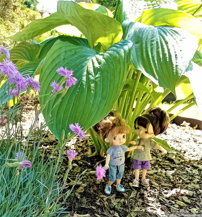 Летний сад глазами Майи и Жульки | Бэйбики Летний сад глазами Майи и Жульки