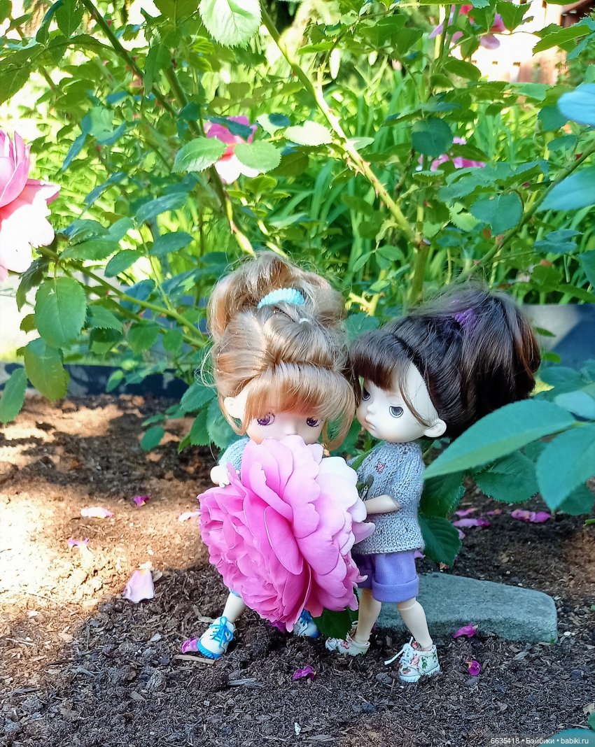 Летний сад глазами Майи и Жульки | Бэйбики Летний сад глазами Майи и Жульки