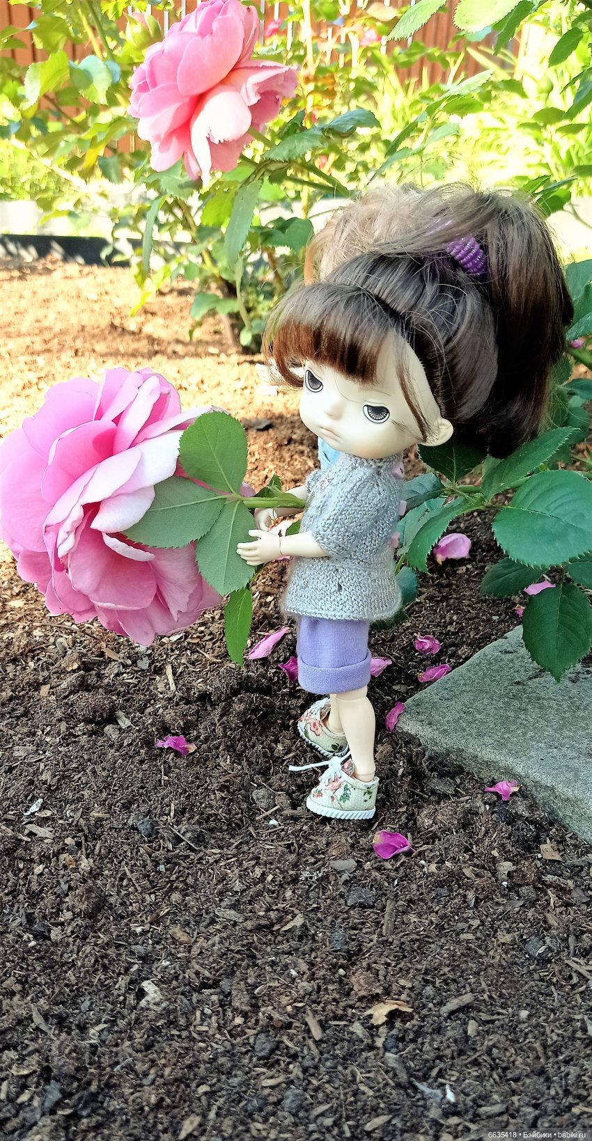 Летний сад глазами Майи и Жульки | Бэйбики Летний сад глазами Майи и Жульки