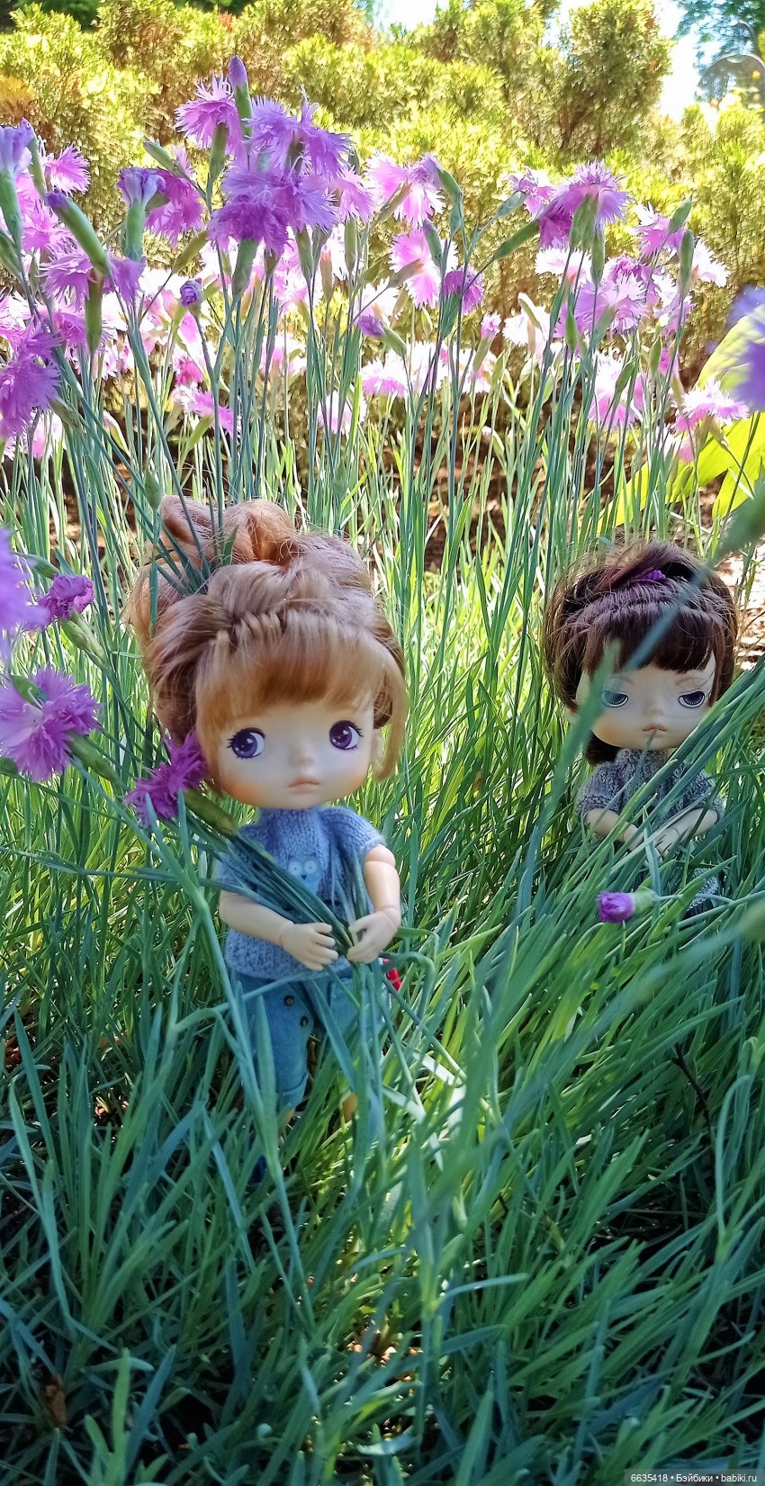 Летний сад глазами Майи и Жульки | Бэйбики Летний сад глазами Майи и Жульки