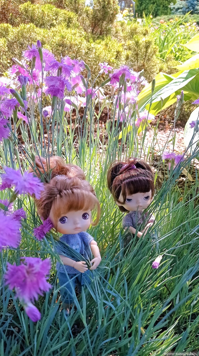 Летний сад глазами Майи и Жульки | Бэйбики Летний сад глазами Майи и Жульки